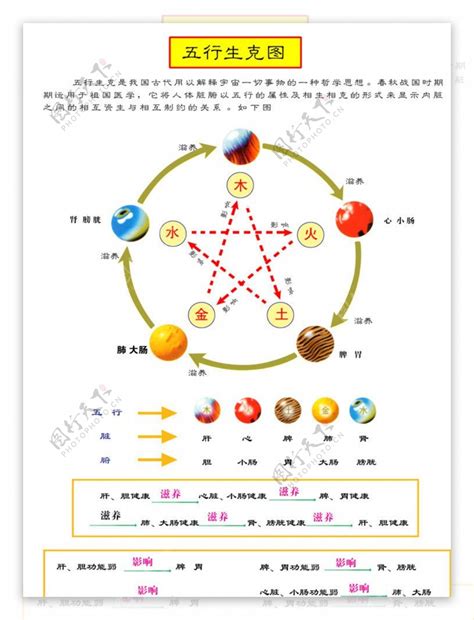 算命 五行